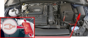 Fuse Box Diagram Audi A3 / S3 (8V; 2013-2018)