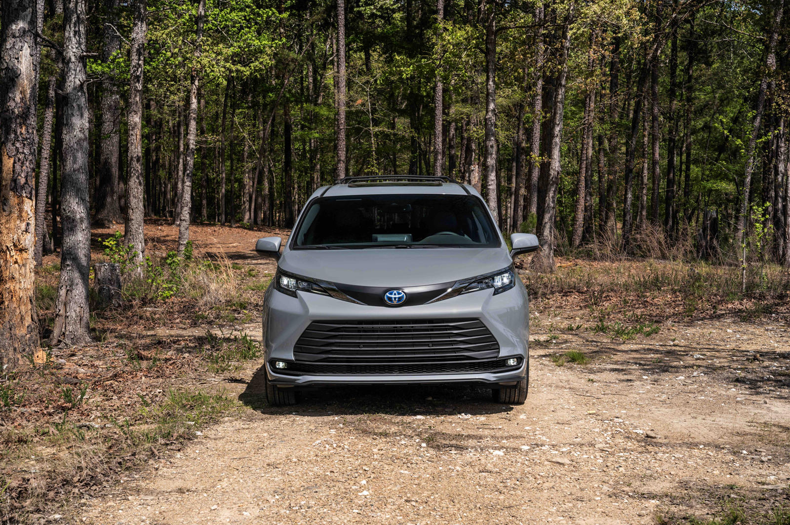 2022 Toyota Sienna: Review, Trims ...