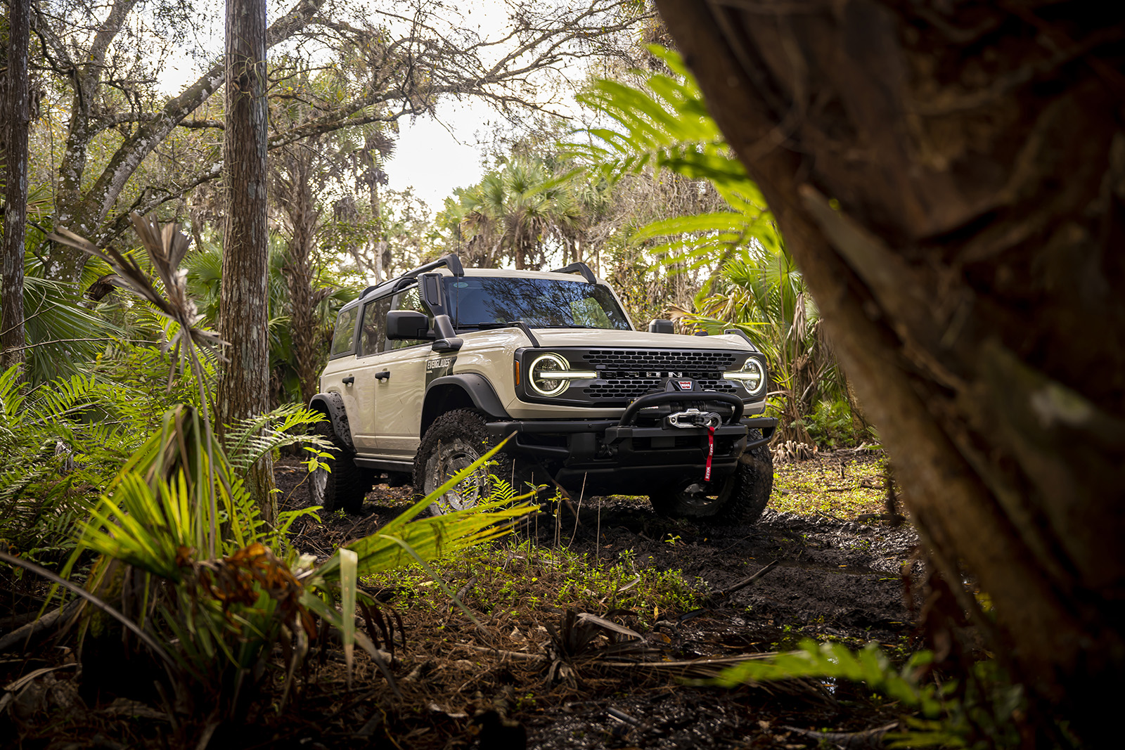 New 2022 Ford Bronco Everglades Is a ...