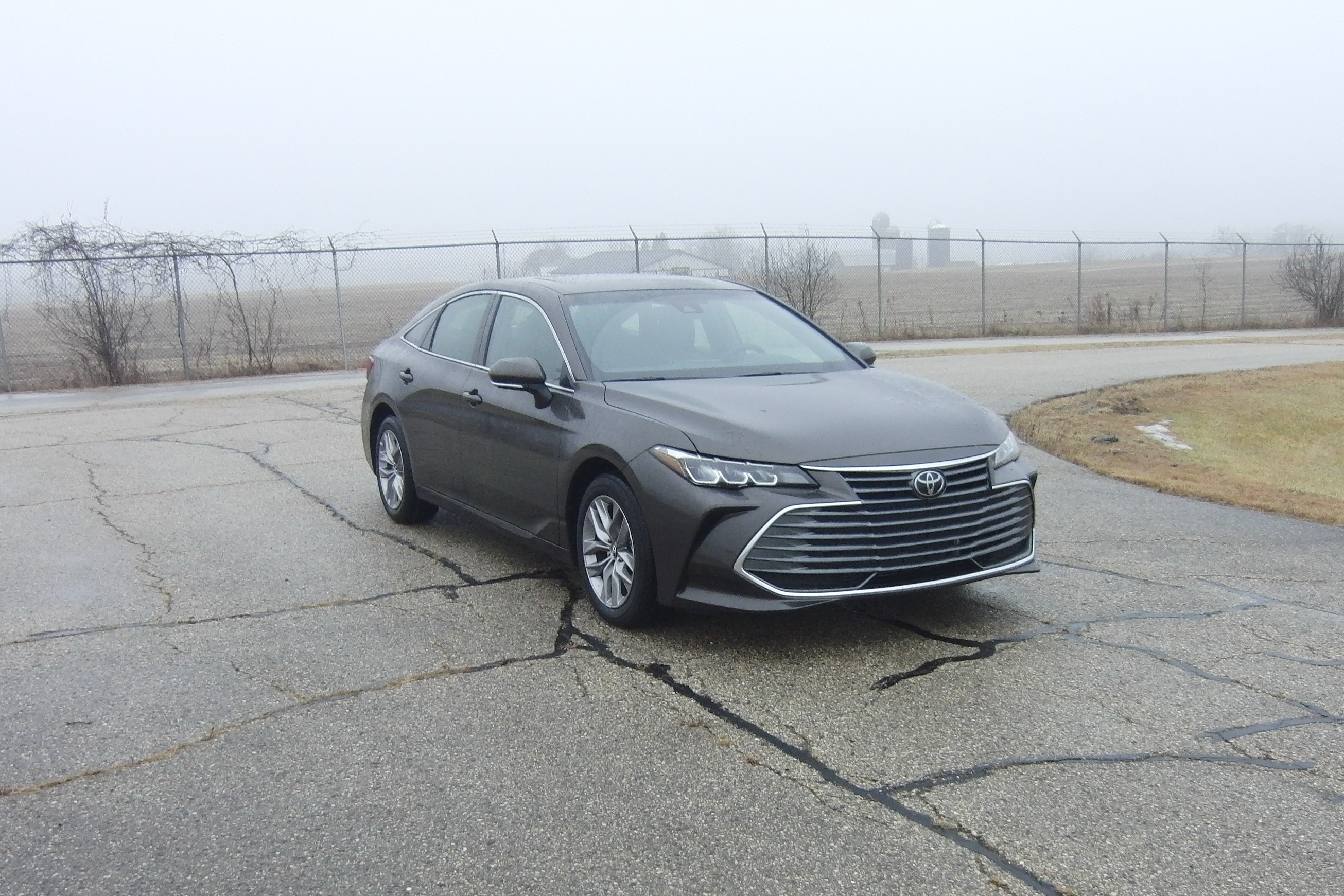2019 TOYOTA AVALON crash image