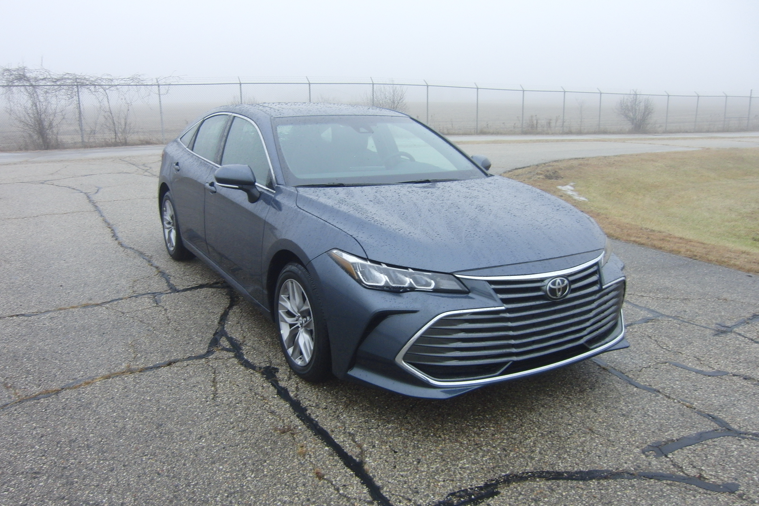 2019 TOYOTA AVALON crash image
