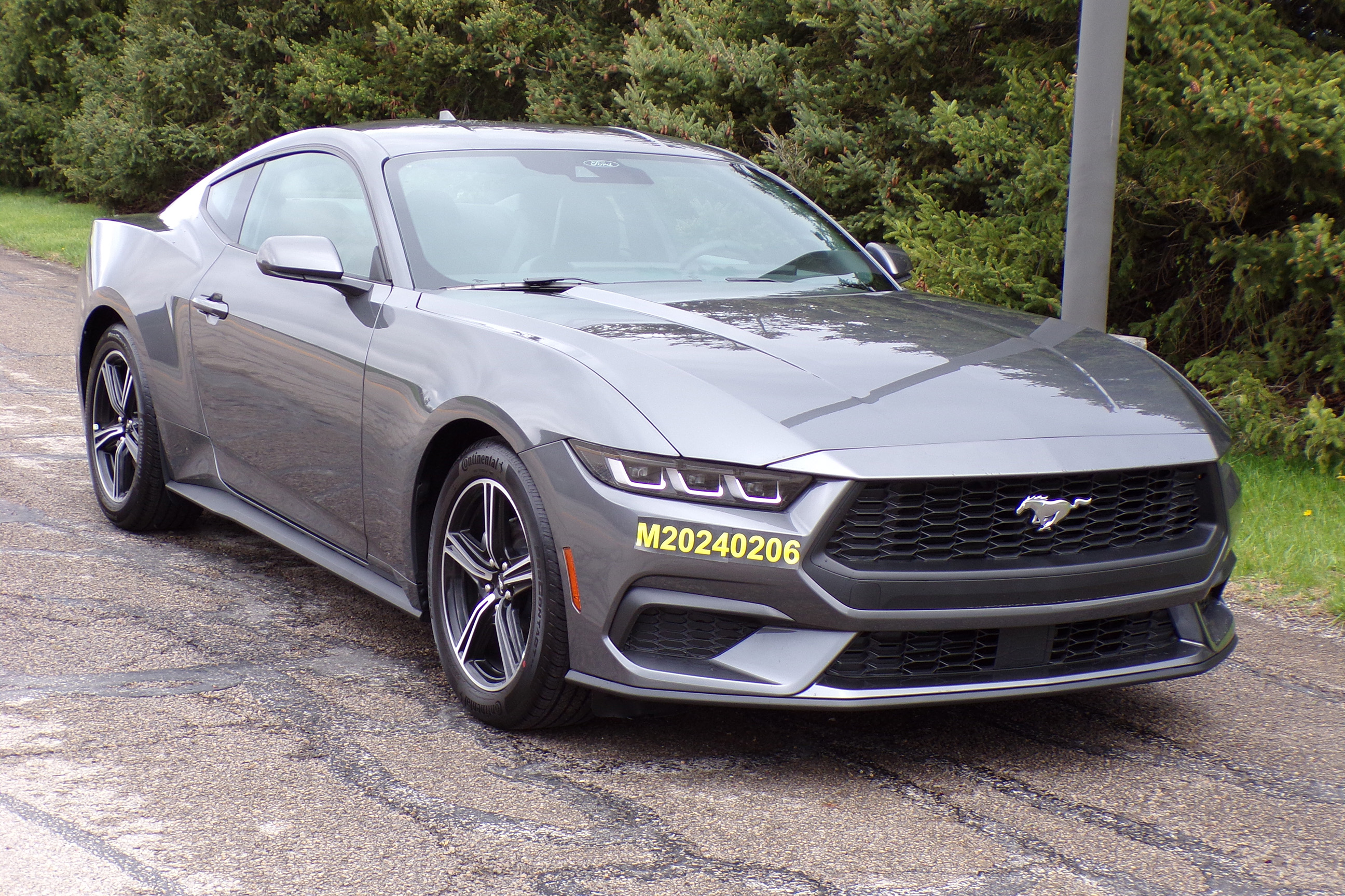 2024 FORD MUSTANG crash image