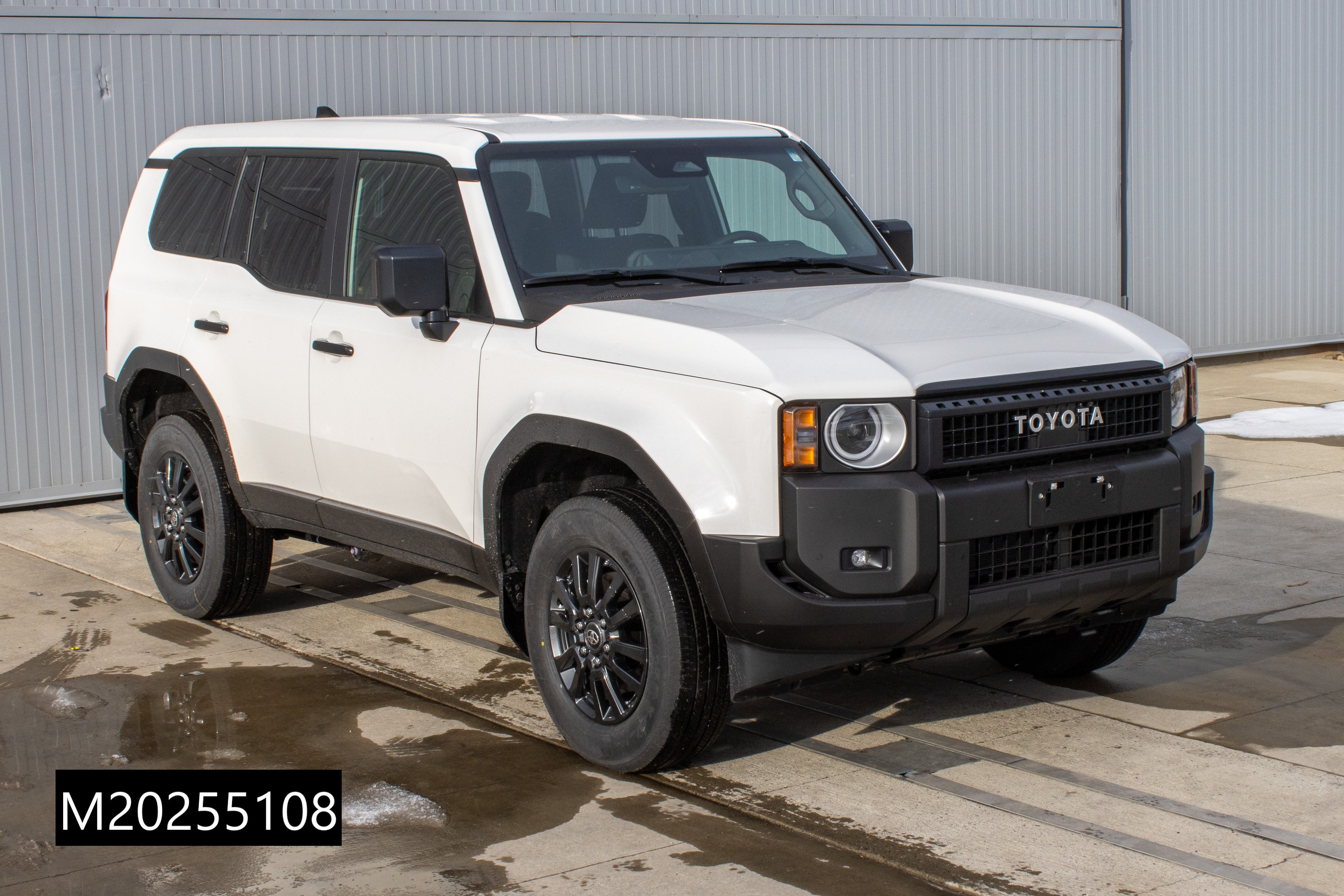 2025 TOYOTA LAND CRUISER crash image