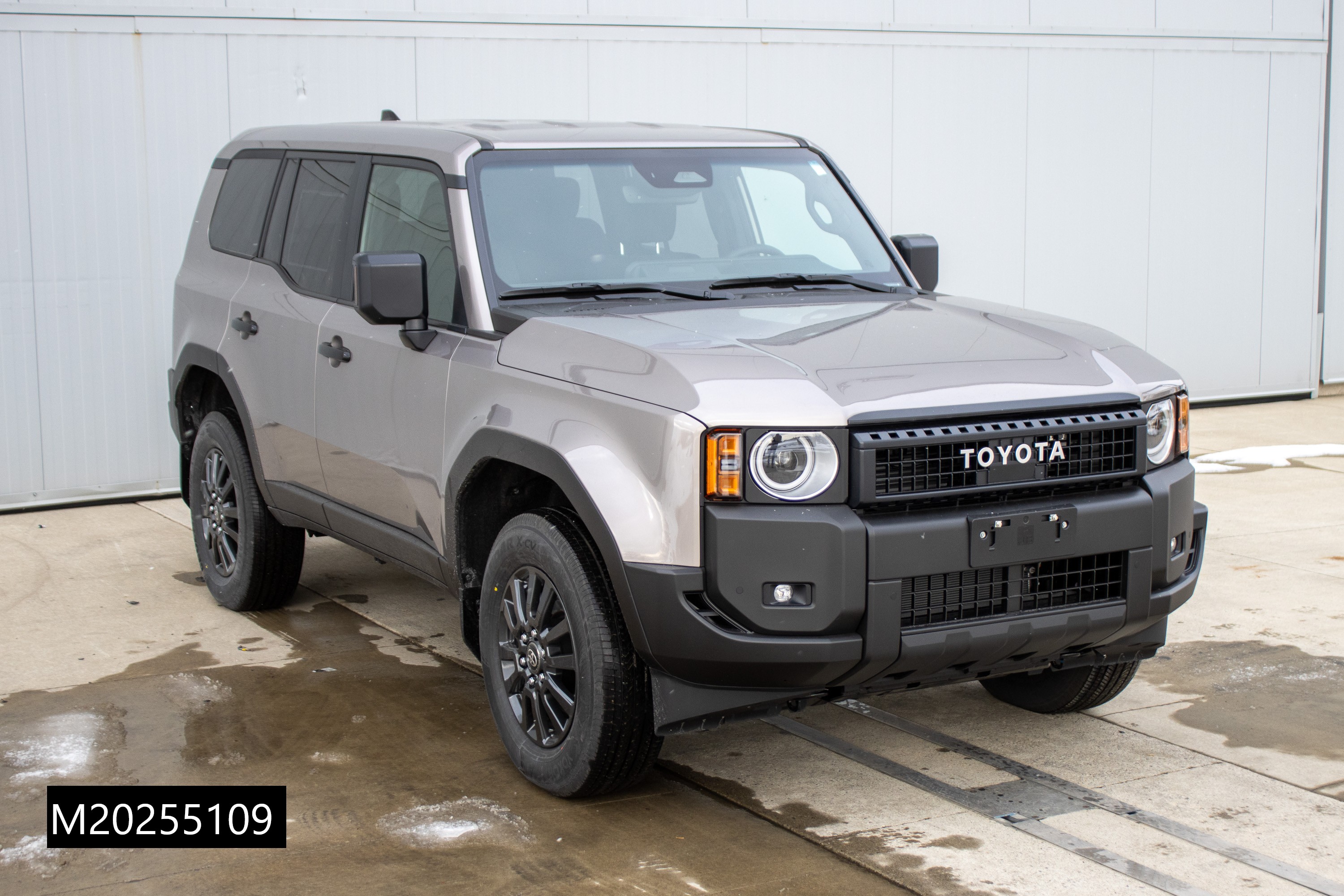 2025 TOYOTA LAND CRUISER crash image