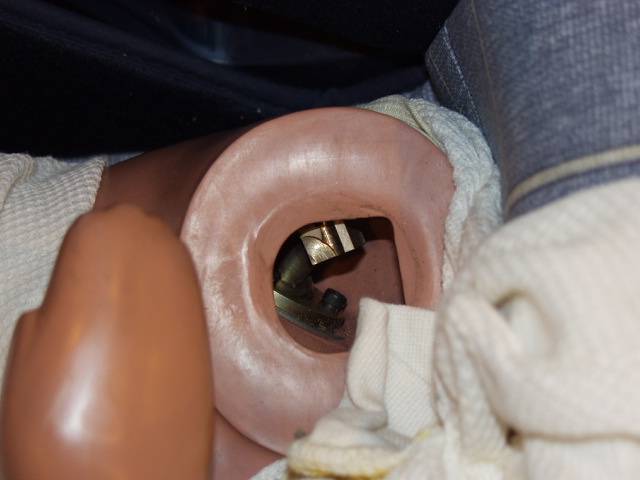 2003 MERCEDES E320 crash image