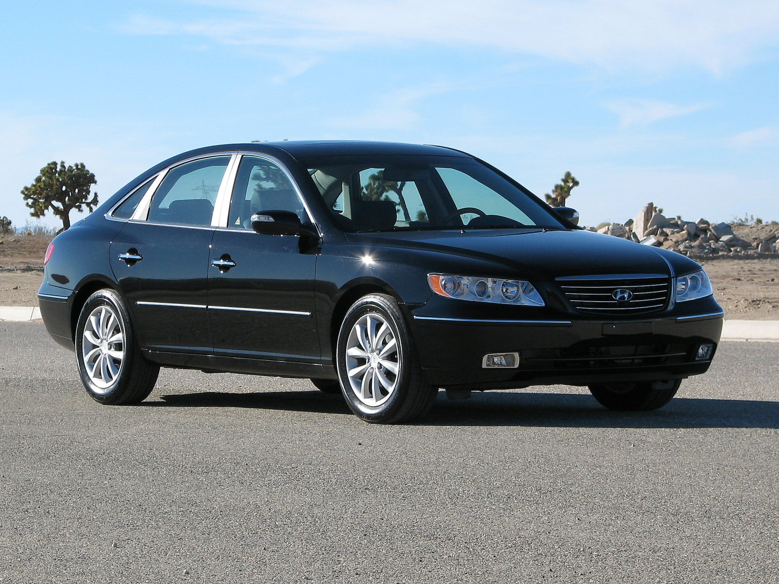 2008 HYUNDAI AZERA crash image